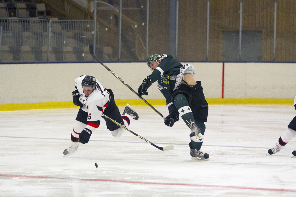 20120907 – Bajen Fans Hockey vs Haninge