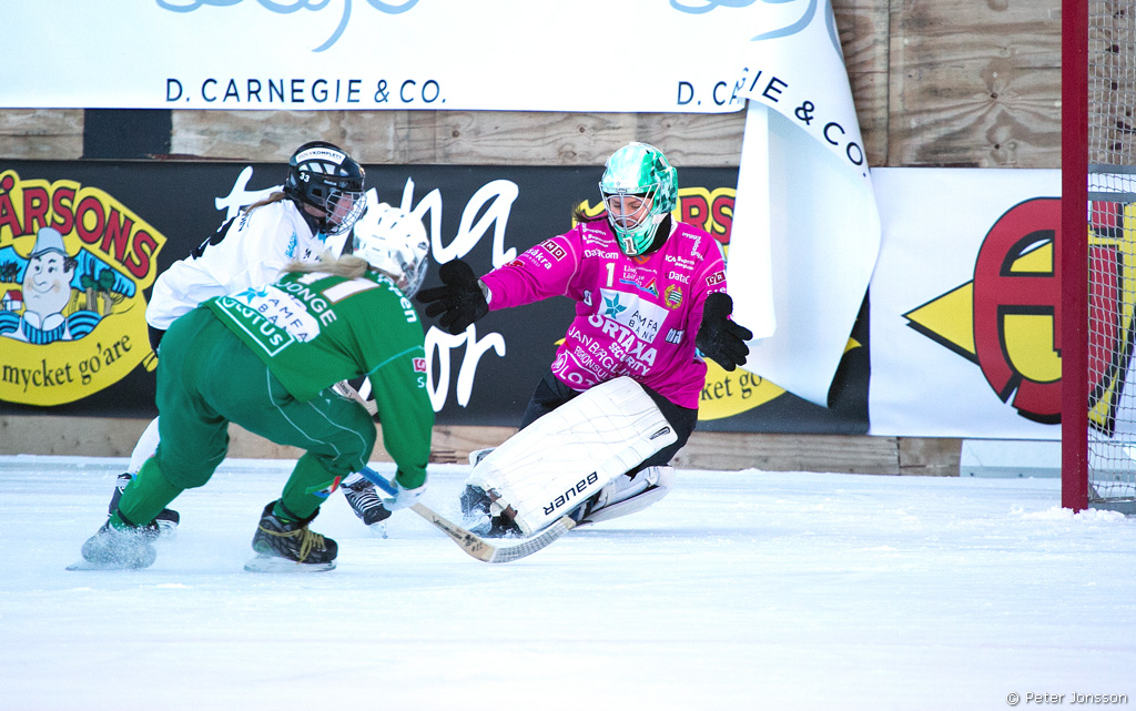 20151121 – Hammarby Dambandy vs Sandviken